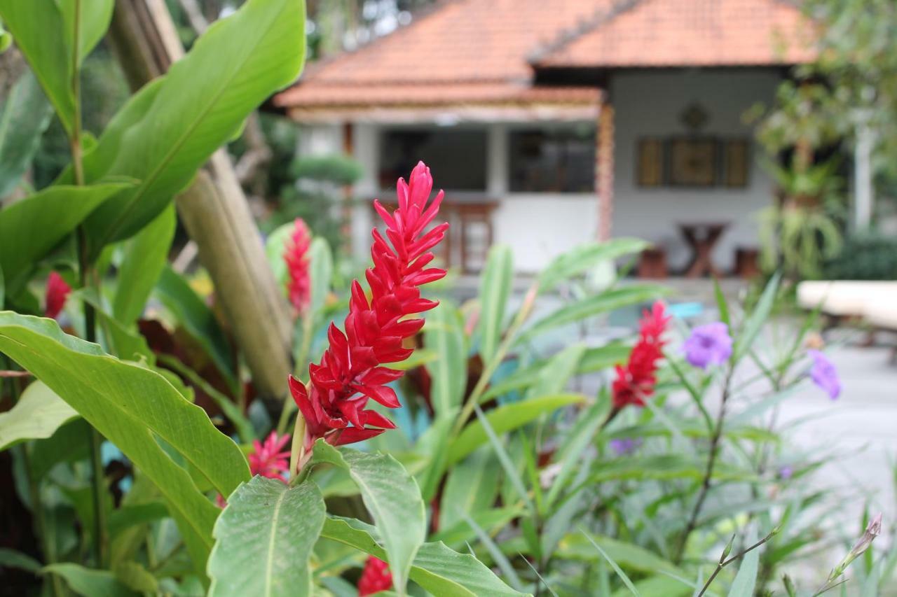 Villa Sindu Ubud מראה חיצוני תמונה