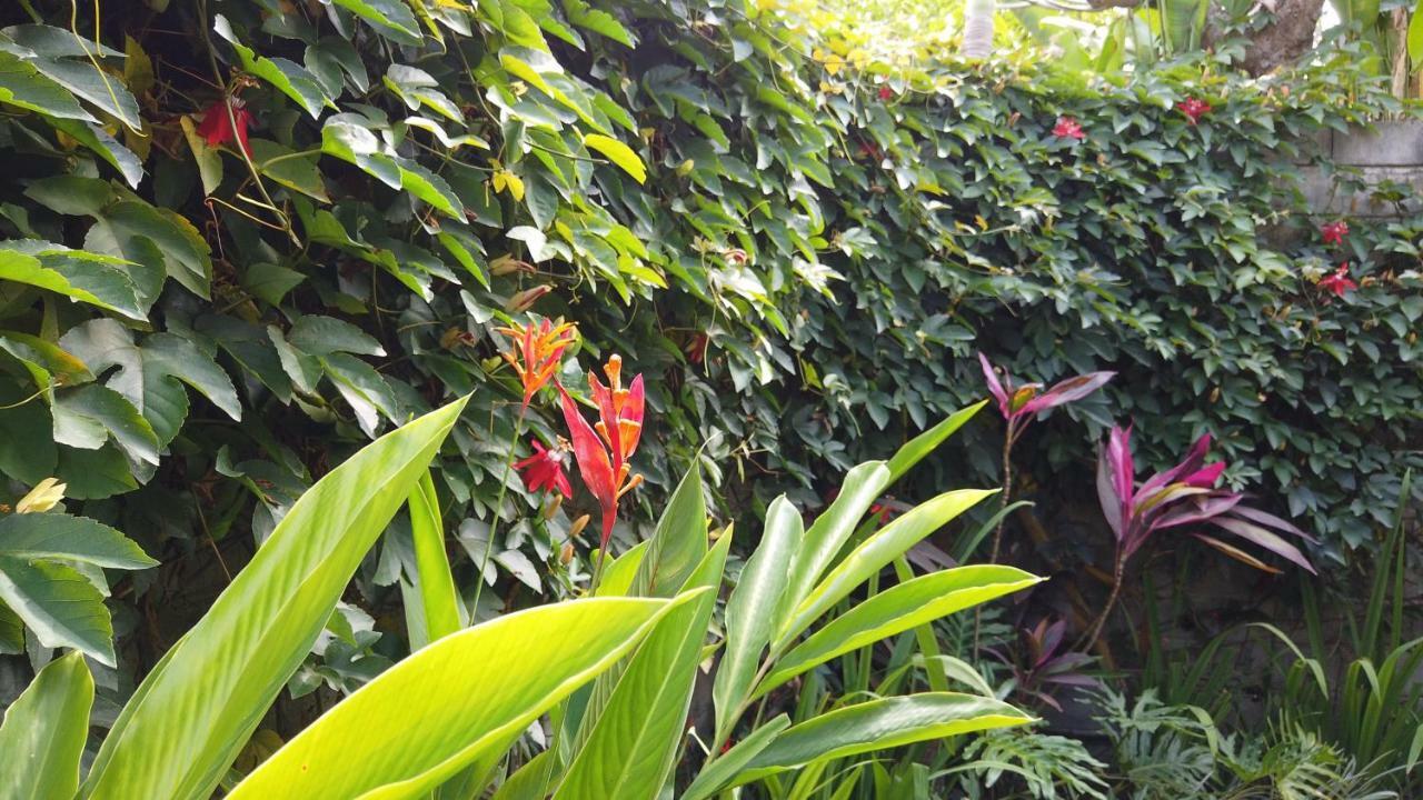 Villa Sindu Ubud מראה חיצוני תמונה